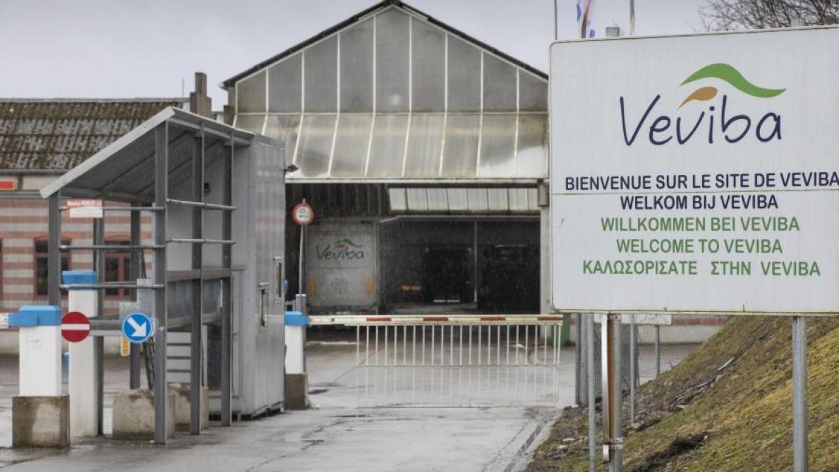 Veviba vraagt nieuwe vergunning aan FAVV - Landbouwleven